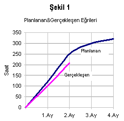 Planlanan ve Gerçekleşen